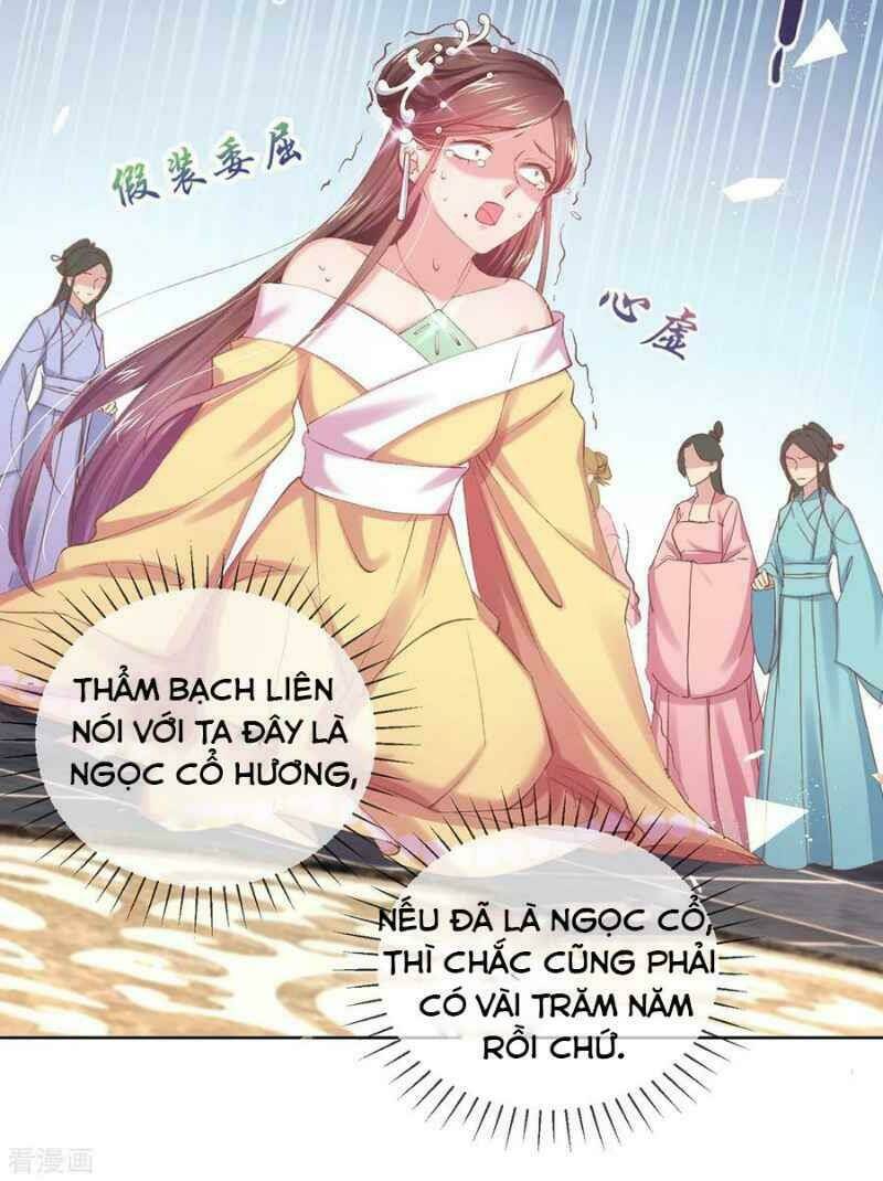 thị huyết y phi chapter 60 11