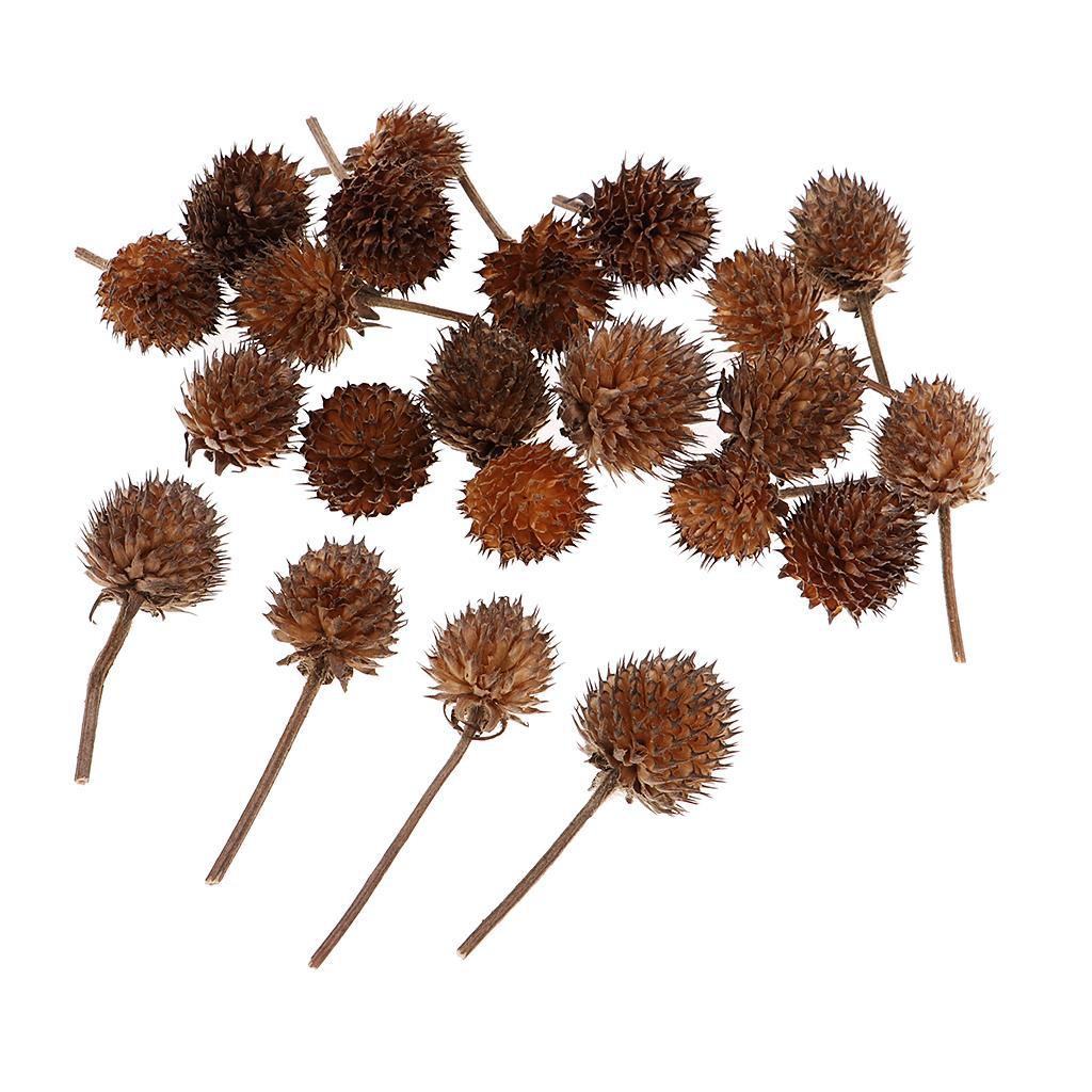 50pcs Mini Dried Flowers Fruits DIY Candy Box Christmas Wedding Decorations
