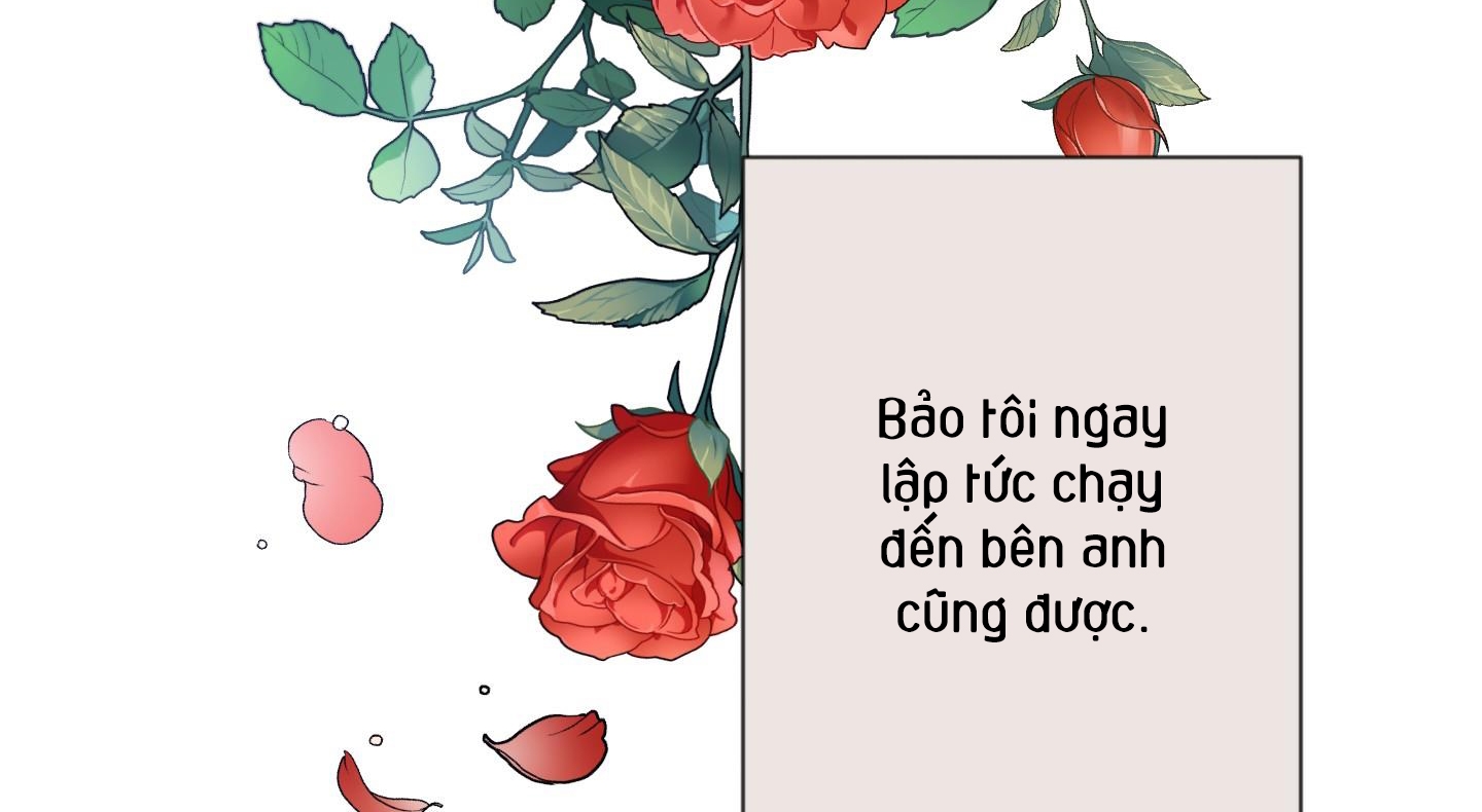 định rõ mối quan hệ chapter 38 185