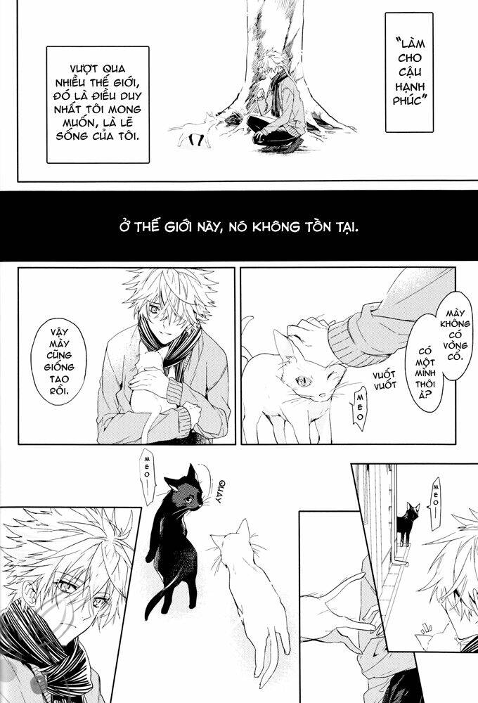 hạnh phúc và ước muốn của cậu là…? chapter 1 31