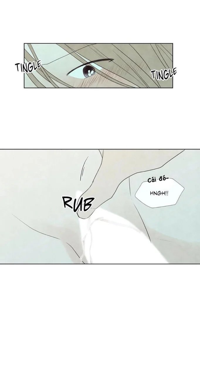 summer solstice point chapter 19 43