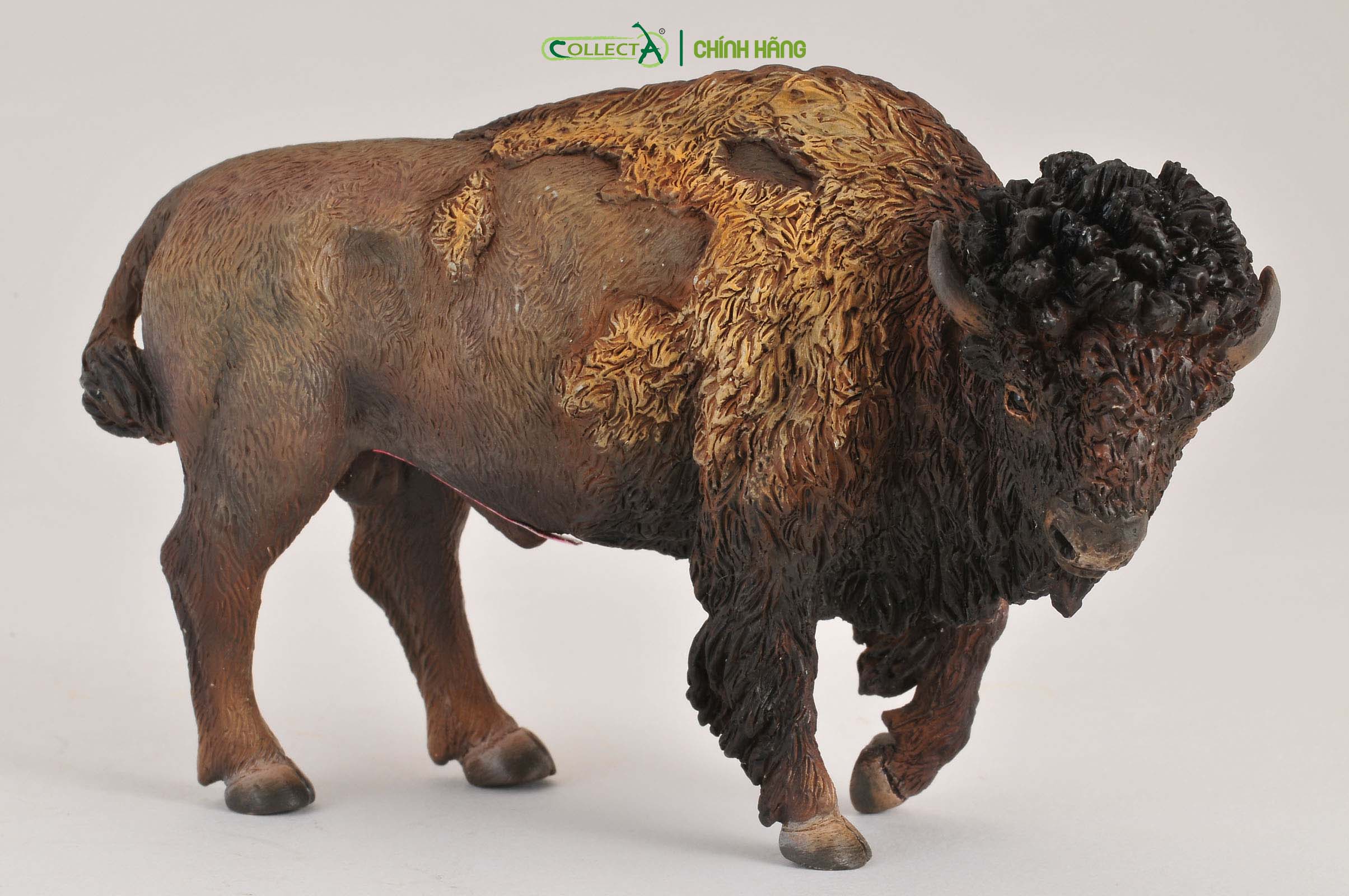 Mô hình thu nhỏ: Bò Rừng Bison - American Bison, hiệu: CollectA, mã HS 9651410[88336] -  Chất liệu an toàn cho trẻ - Hàng chính hãng