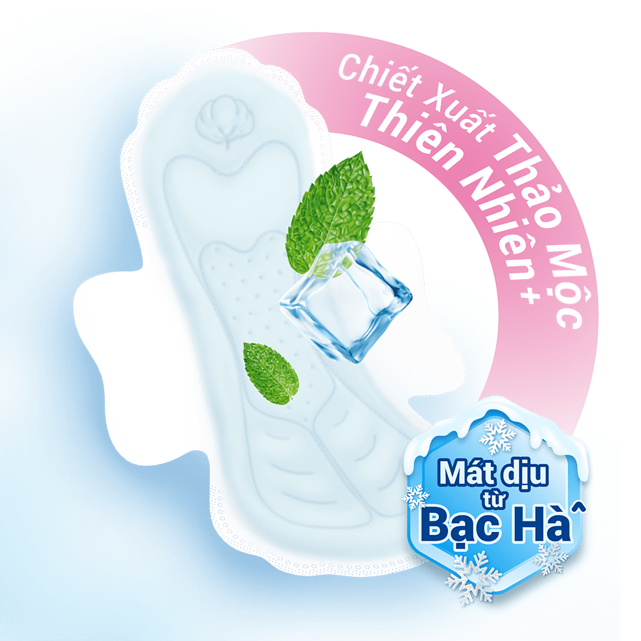 Combo 4 gói BVS Molped Icycool Có cánh gói lớn 20 miếng tiết kiệm giá tốt