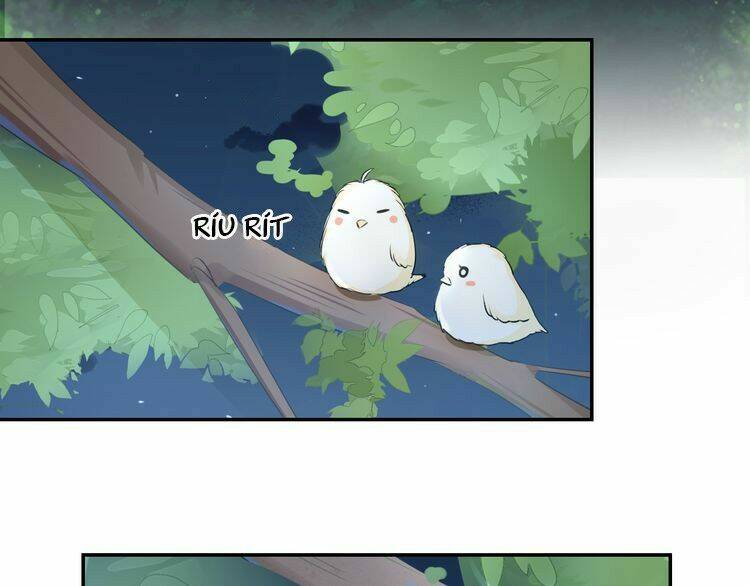 hoa nhan sách chapter 19.1 5