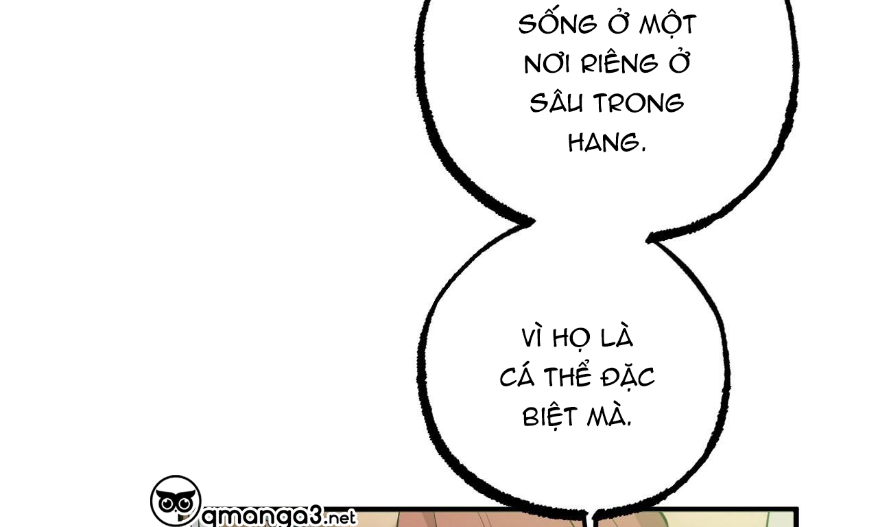 đàn thỏ của habibi chapter 49 13