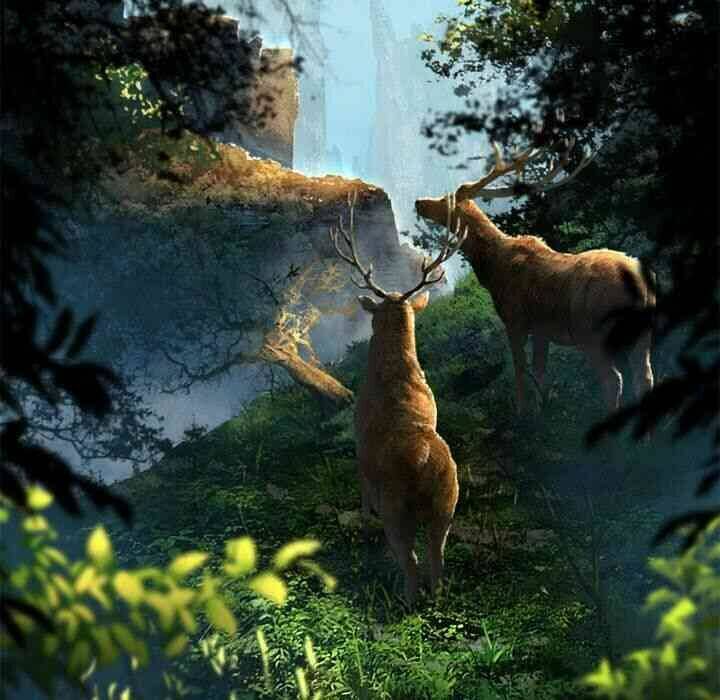 triệu hồi đến thế giới fantasy chapter 20 42