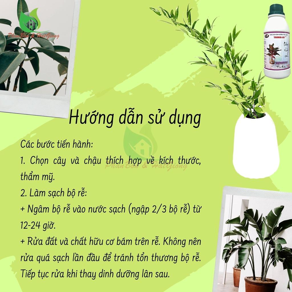 Phân Bón Lá Thủy Canh Kiểng Chai 100ml - Điền Trang - Shop Phân Bón và Hạt Giống