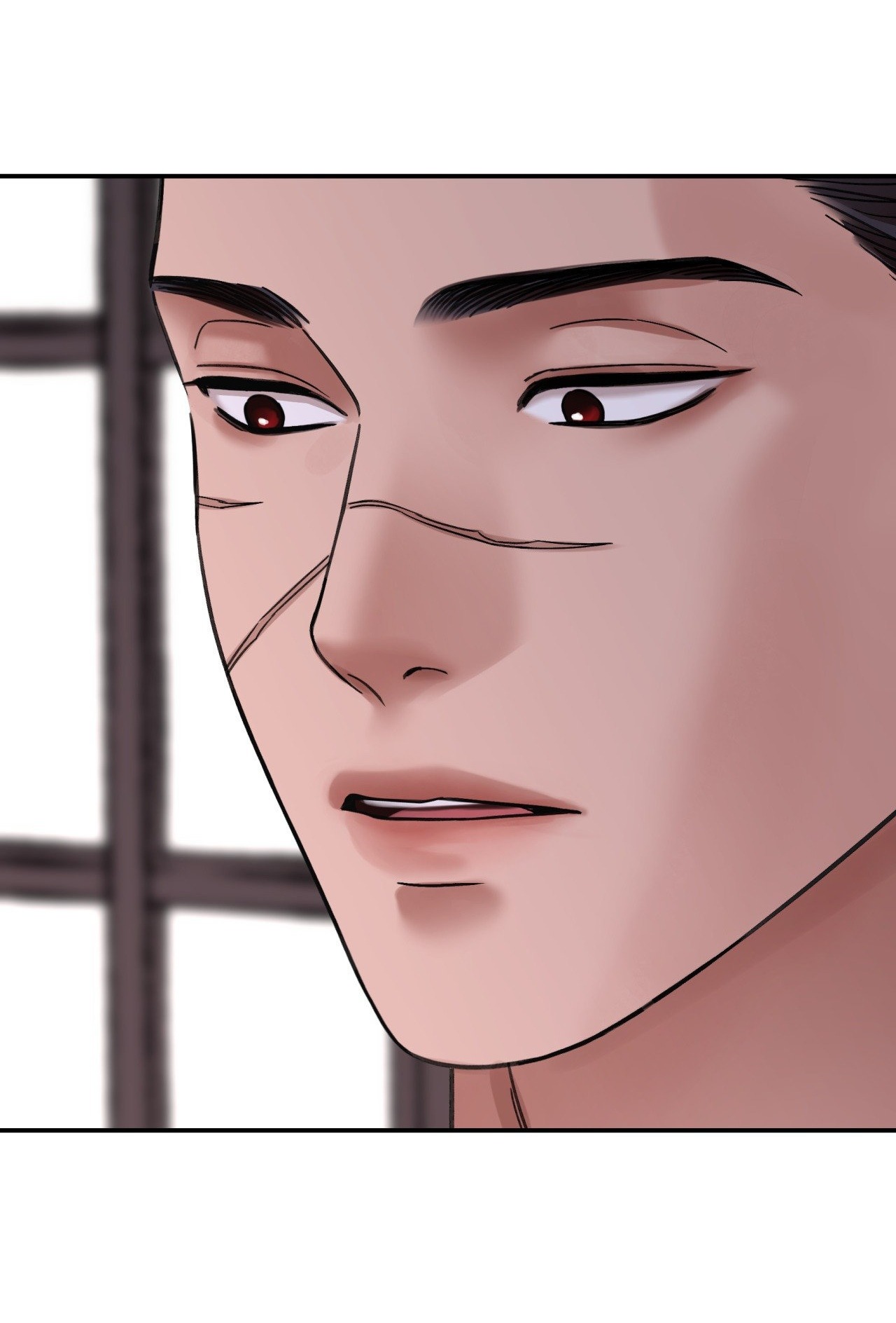 [18+] trượng kiếm tựa hoa chapter 46.2 29