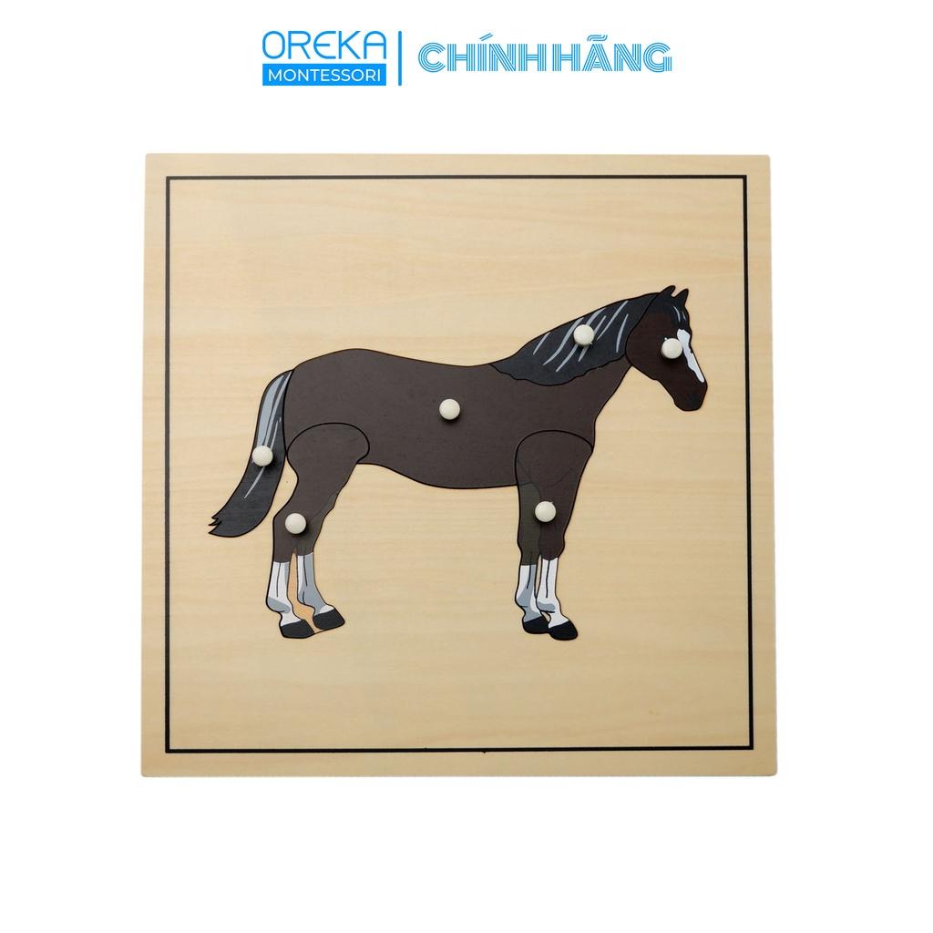 Đồ chơi trẻ em Oreka Montessori Ghép hình động vật: Ngựa có xương - 0641201