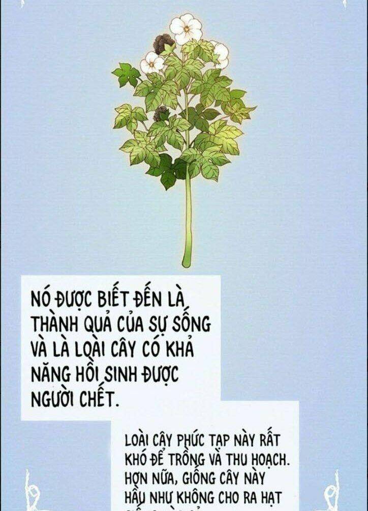 wendy , cô gái bán hoa chapter 4 6