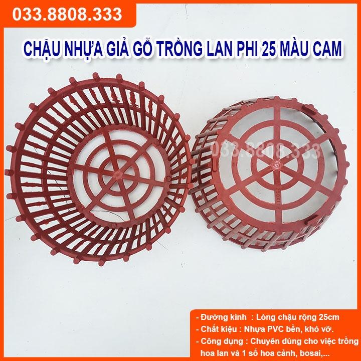 10 CHẬU TRỒNG LAN GIẢ GỖ PHI 25 - CHẬU THOÁT NƯỚC TỐT