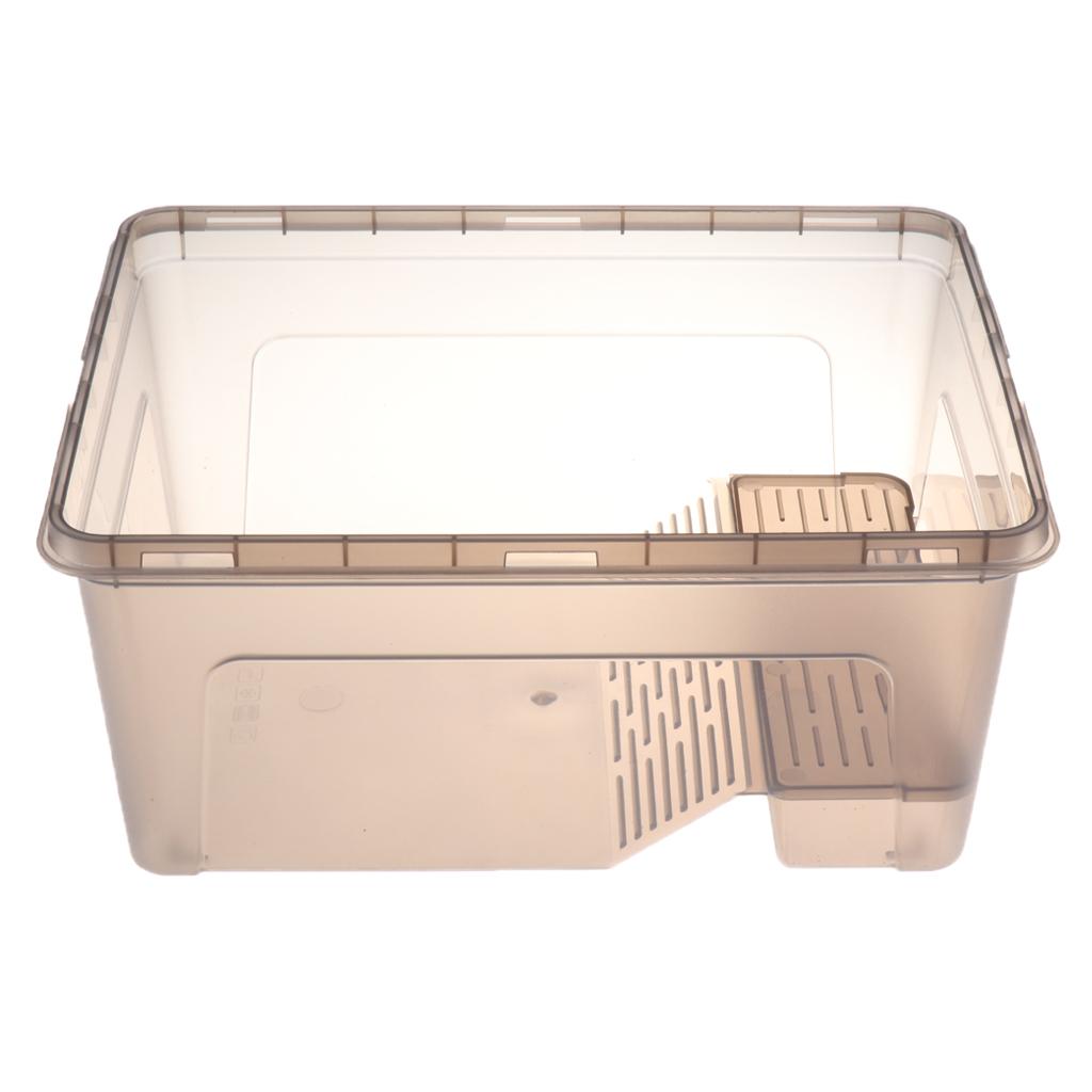Reptile Turtle Tank Terrarium Aquarium with Ramp Platform Transparent