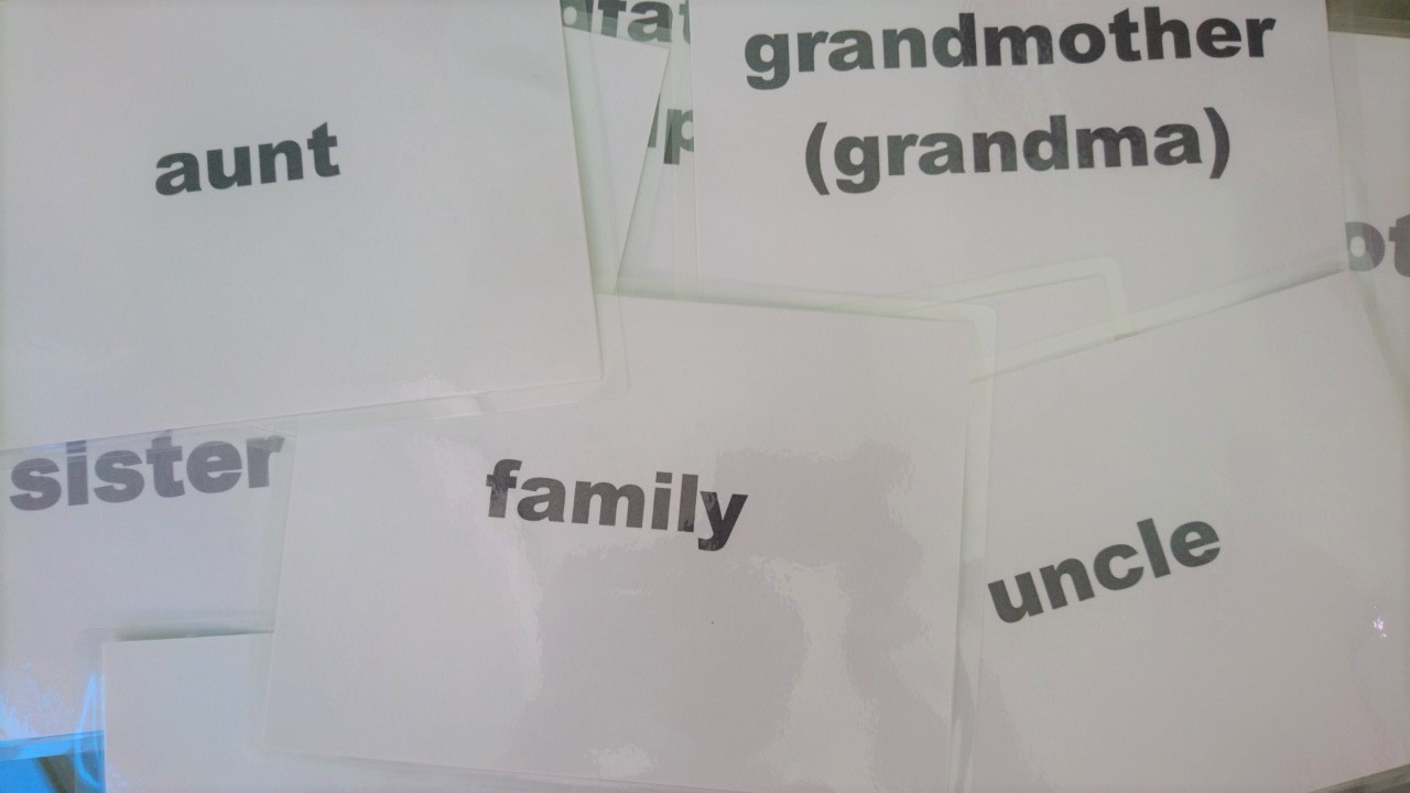 Family Flashcards - Bộ thẻ học tiếng Anh chủ đề gia đình - 10 thẻ