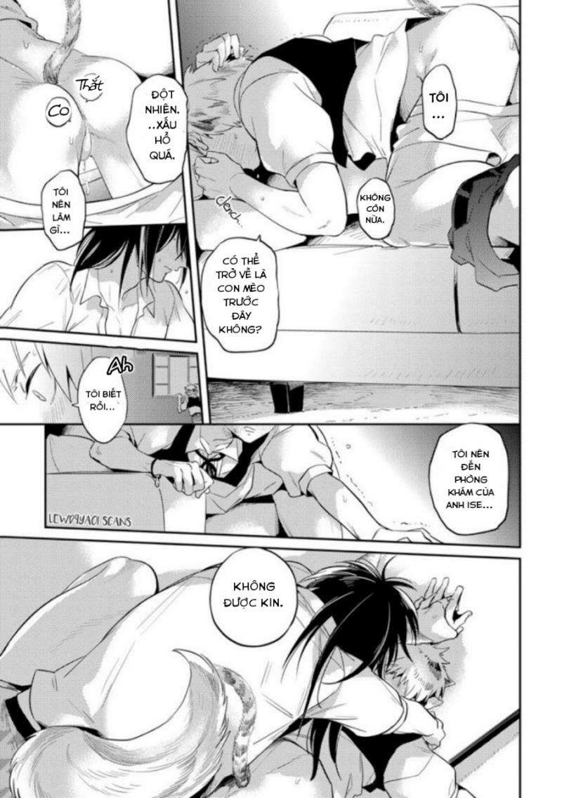 dục vọng omega chapter 2 6