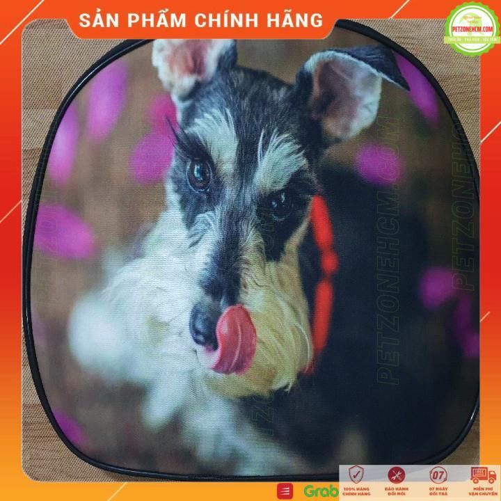 Túi vận chuyển chó mèo gấp gọn - túi du lịch,In hình 3D,size S vừa với chó < 6KG và Mèo < 10kg | PetZoneHCM