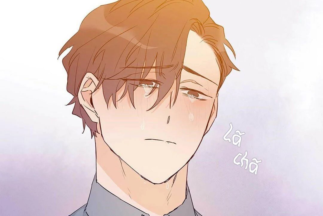 guide cấp b chapter 25 66