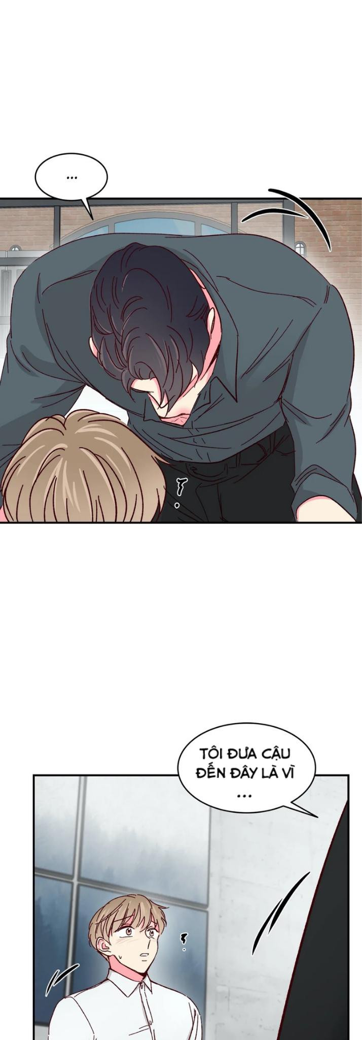 món tráng miệng của sếp tổng chapter 40 8