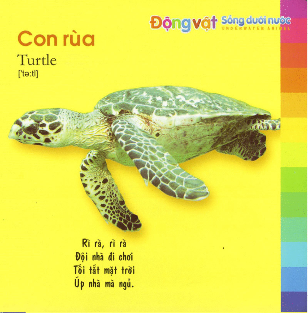 Bé Khám Phá Môi Trường Xung Quanh - Động Vật Sống Dưới Nước _ML