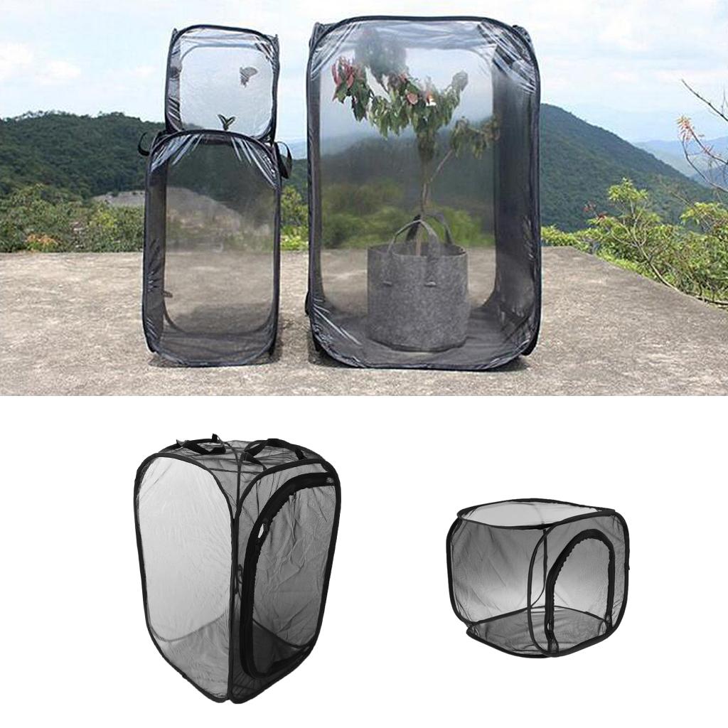 Foldable Insect And Butterfly Habitat Net Terrarium Breeding Cage Black