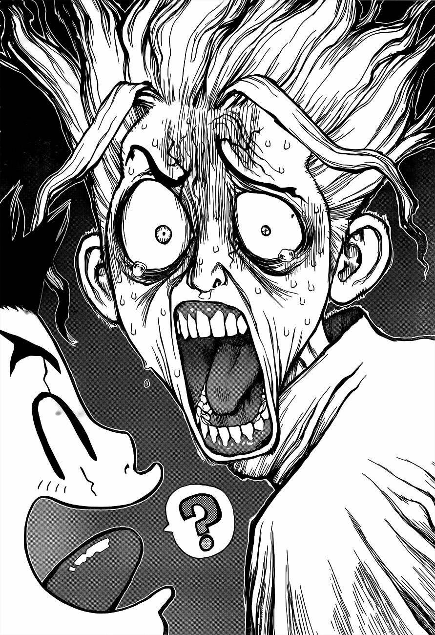 dr.stone - hồi sinh thế giới chapter 5 3