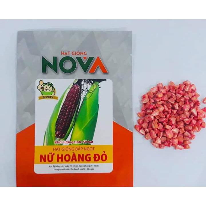 Hạt giống bắp ngọt Nữ Hoàng Đỏ -50 hạt _công ty NOVA_ăn sống rất ngon