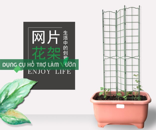 Khung Cho Hoa Leo Rộng 45Cm - Rộng 45Cmcao 125Cm