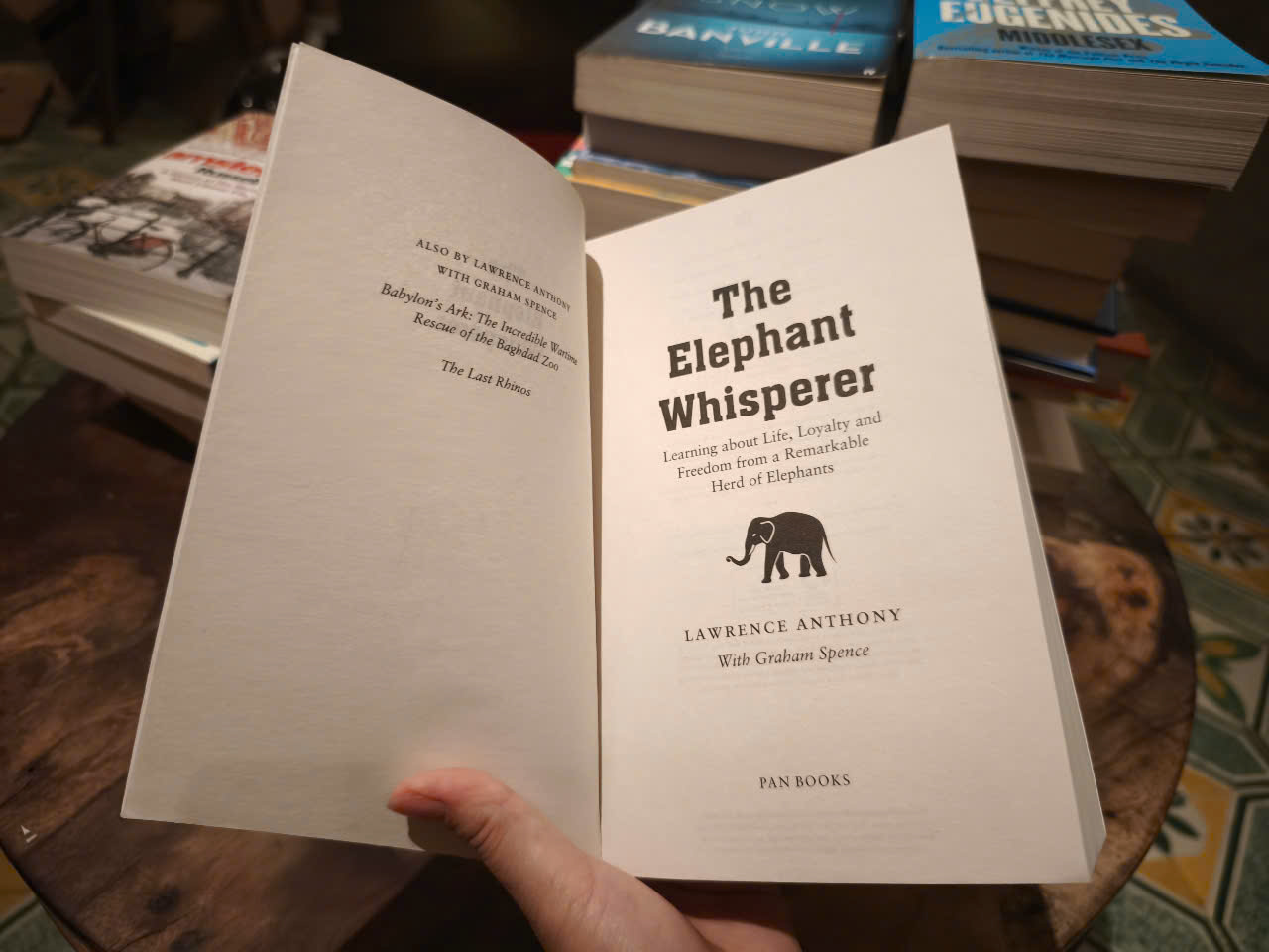 Sách - the Elephant Whisperer by Lawrence Anthony - Sách Lịch sử tiếng Anh/ Nonfiction in English - Biography