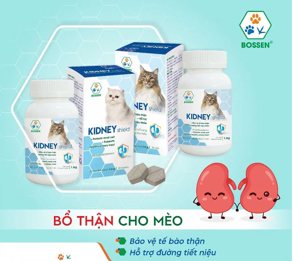 BOSSEN - KIDNEY Shield (cats) Hỗ Trợ Chức Năng Thận cho Mèo - Hộp 30 viên