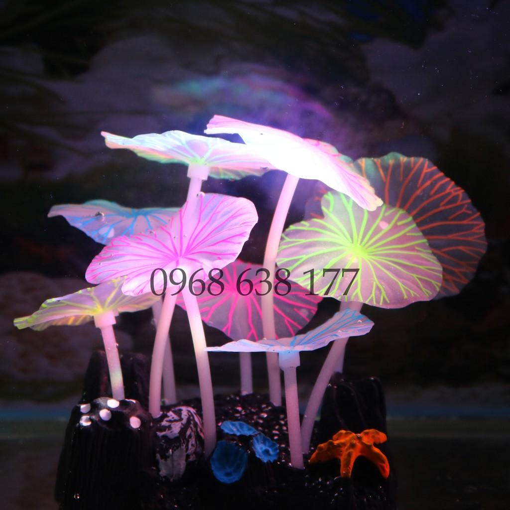 Lá Sen Dạ Quang trang trí bể cá cảnh