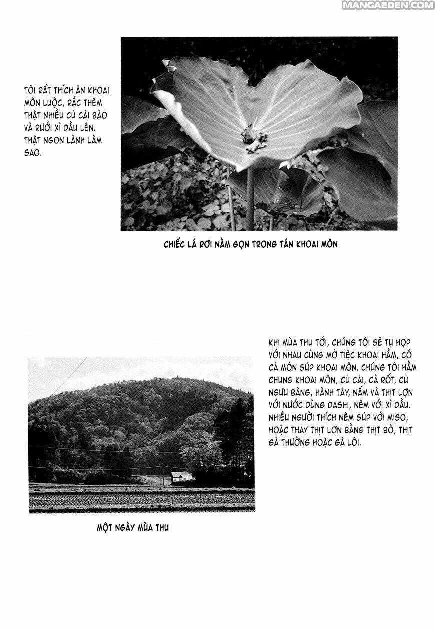 little forest chapter 27 9