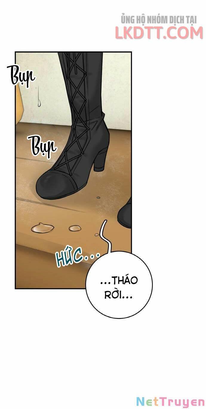 nhật ký tuần trăng mật của phù thủy và rồng chapter 46 61