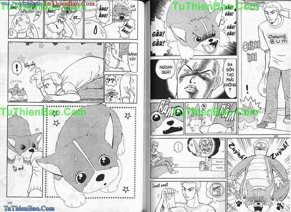 chó con mo mo chapter 1 52