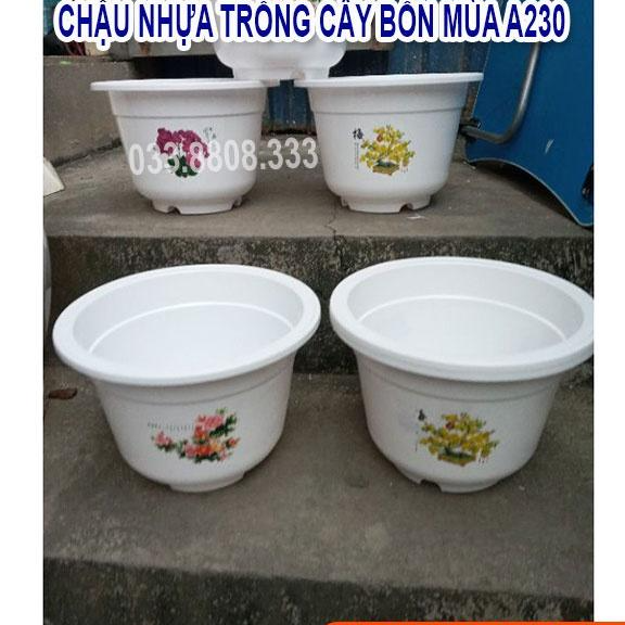 10 Chậu Nhựa Bốn Mùa A220 - Chậu Đẹp Bền