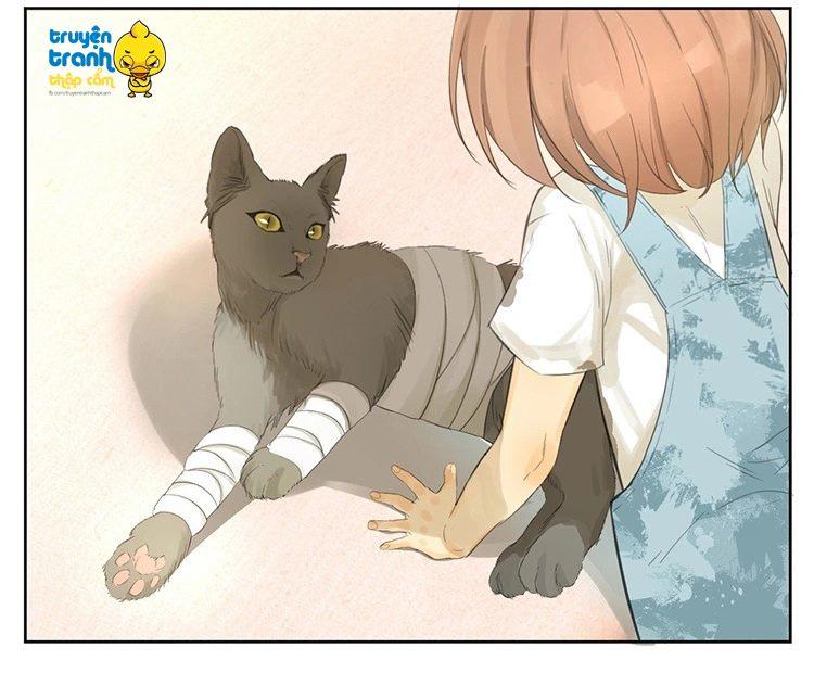cứu mạng ! loài mèo thống trị thế giới rồi ! chapter 24 5