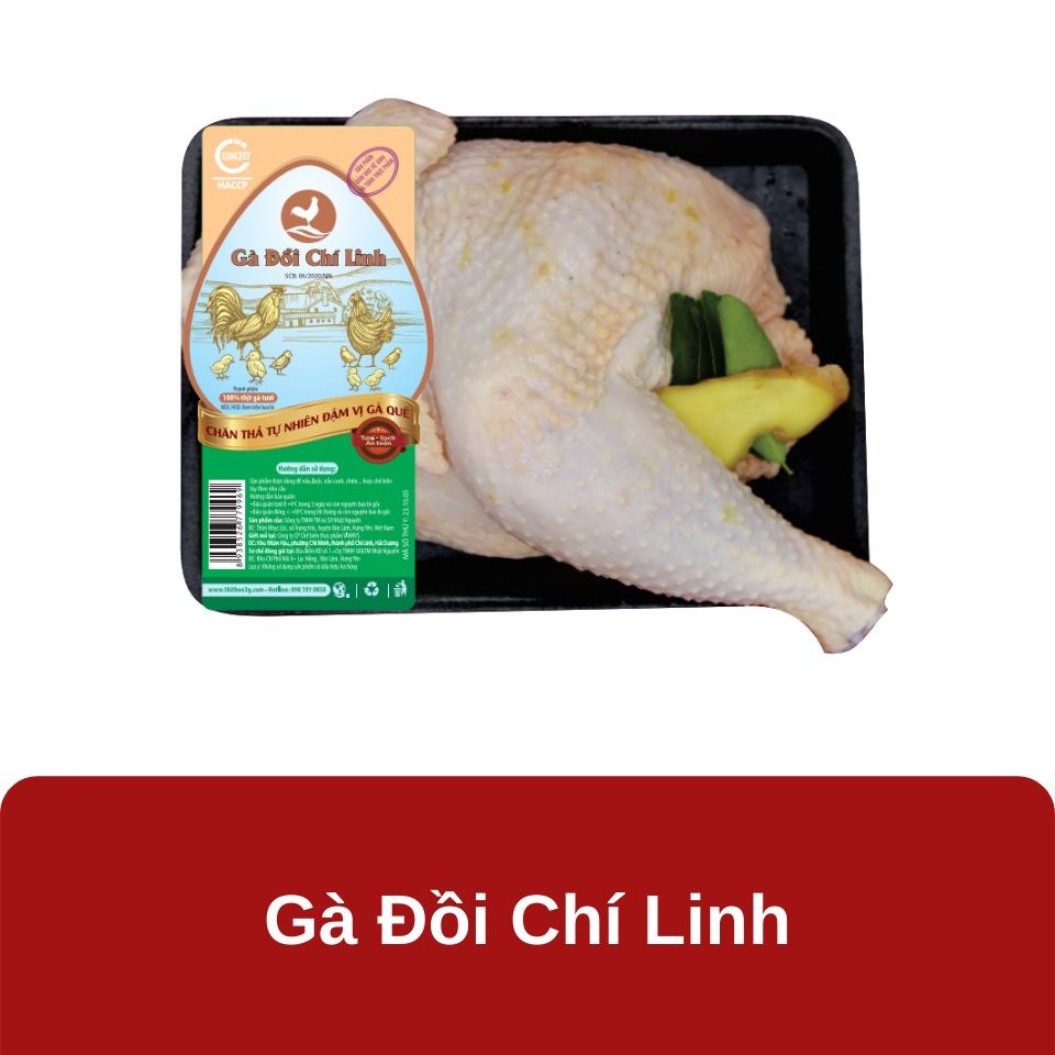 Gà ta Chí Linh