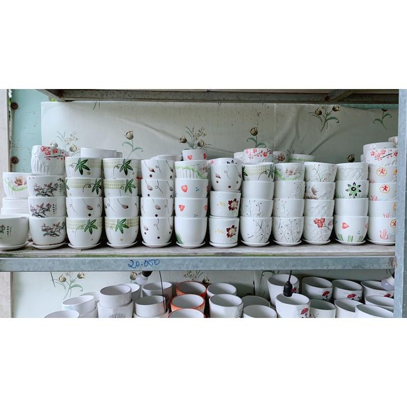 Chậu Trồng Cây