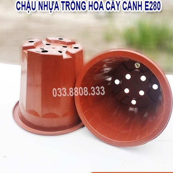 10 Chậu Nhựa Nâu Trồng Cây E280 - Chậu Bền Đẹp