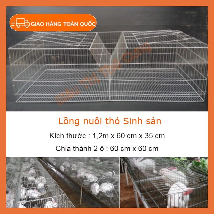 Lồng nuôi thỏ công nghiệp - Lồng nuôi thỏ sinh sản 2 ô