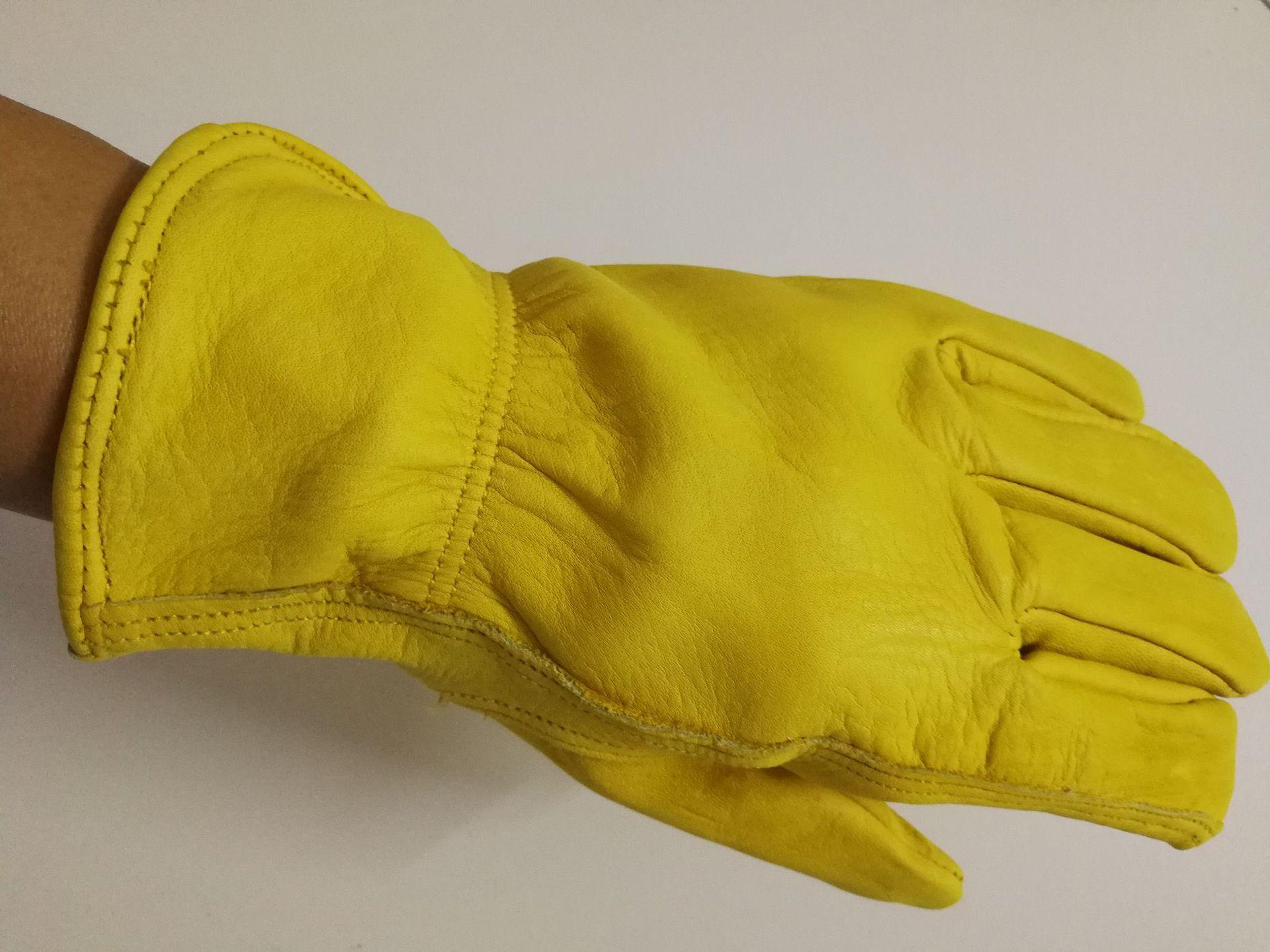 Găng tay làm việc bằng da bò hạt cho nam nữ size:M