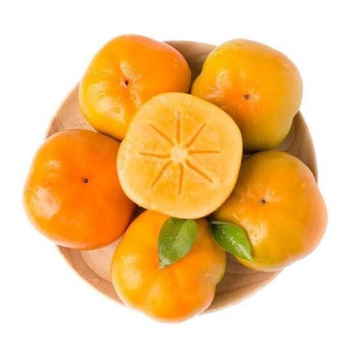 CÂY GIỐNG HỒNG GIÒN NHẬT BẢN SIÊU NGON SIÊU QUẢ- CAM KÊT GIỐNG CHUẨN F1