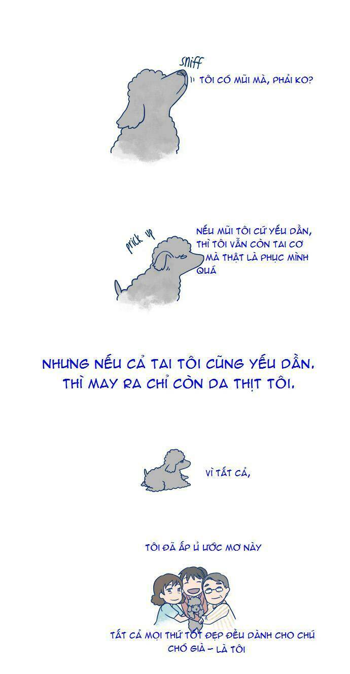 my young cat and my old dog chapter 3 5