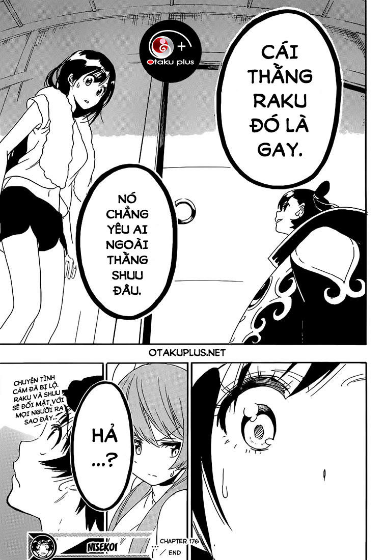 nisekoi - tình yêu giả tạo chapter 176 23