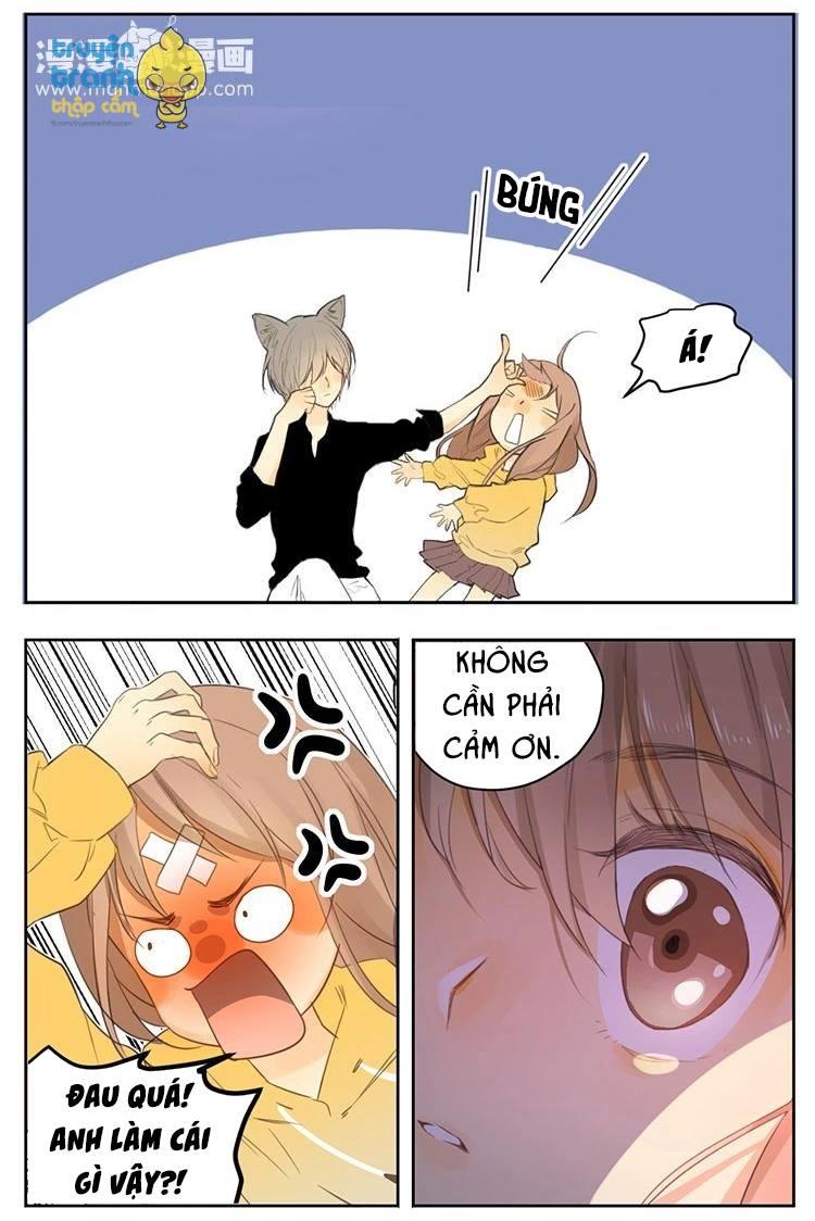 cứu mạng ! loài mèo thống trị thế giới rồi ! chapter 26 23