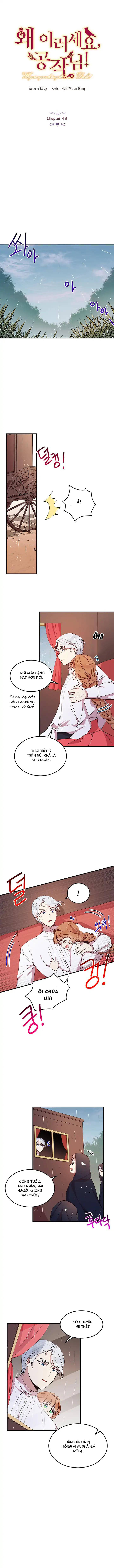 tại sao ngài làm điều này, công tước chapter 49 3