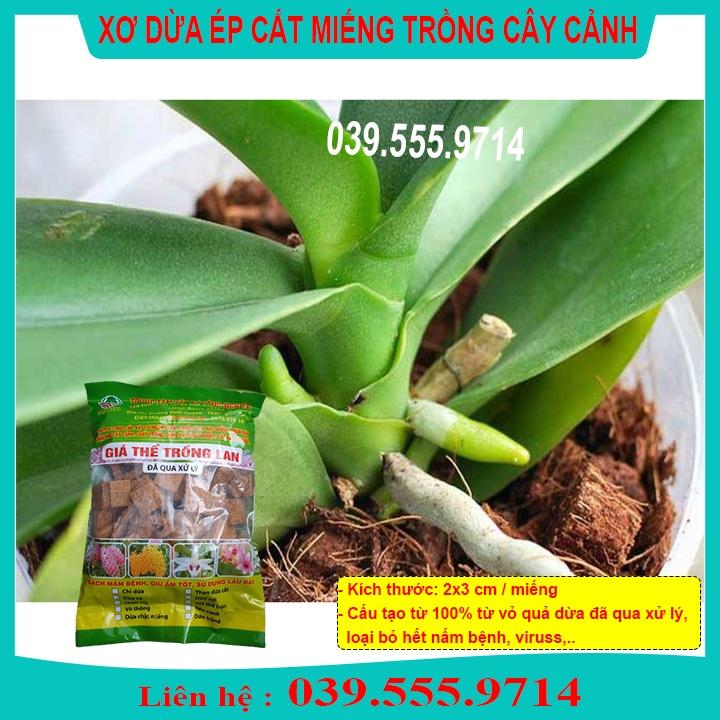 TÚI THẢM DỪA CẮT MIẾNG 5DM CHUYÊN DÙNG TRỒNG LAN