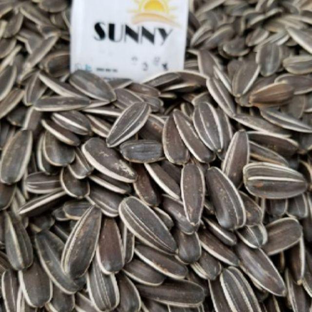 100g Hướng dương cho hamster, sóc