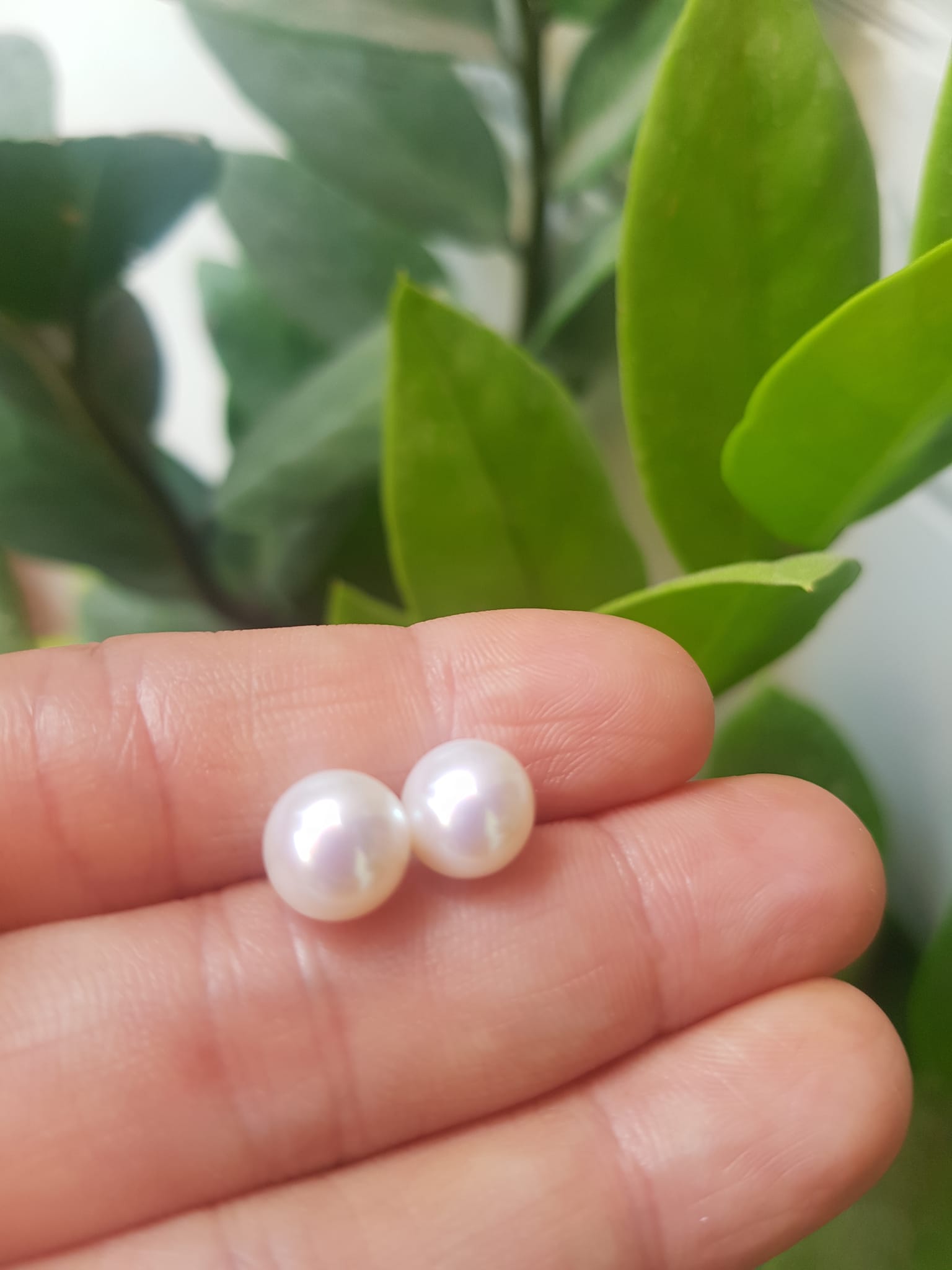 Đôi Bông Ngọc Trai Cao Cấp Bóng Đẹp  Cặp Bông tai màu Trắng Bóng size 8mm vừa đẹp  Nữ Bọc Vàng đeo lên tay vừa đẹp vừa sang ạ