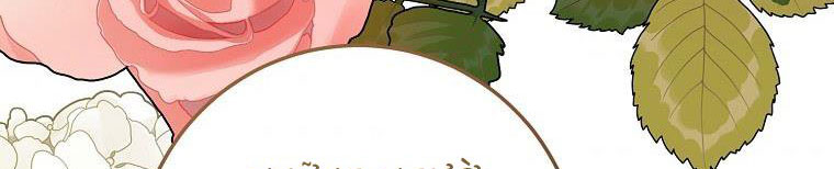 xin hãy kết hôn với em chapter 38 46