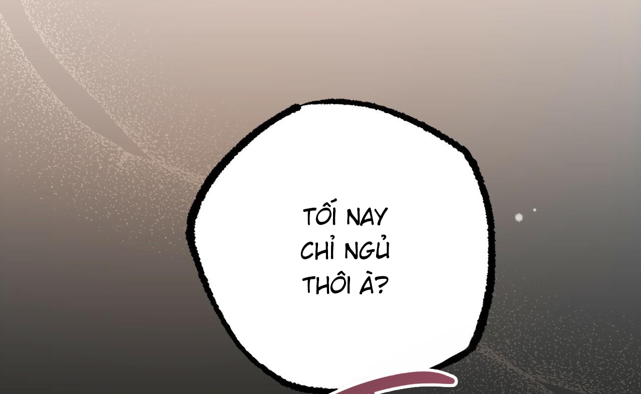 những chú thỏ của hapypy chapter 52 135