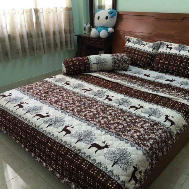TRỌN BỘ 5 MÓN CHĂN DRAP ÁO GỐI COTTON POLY